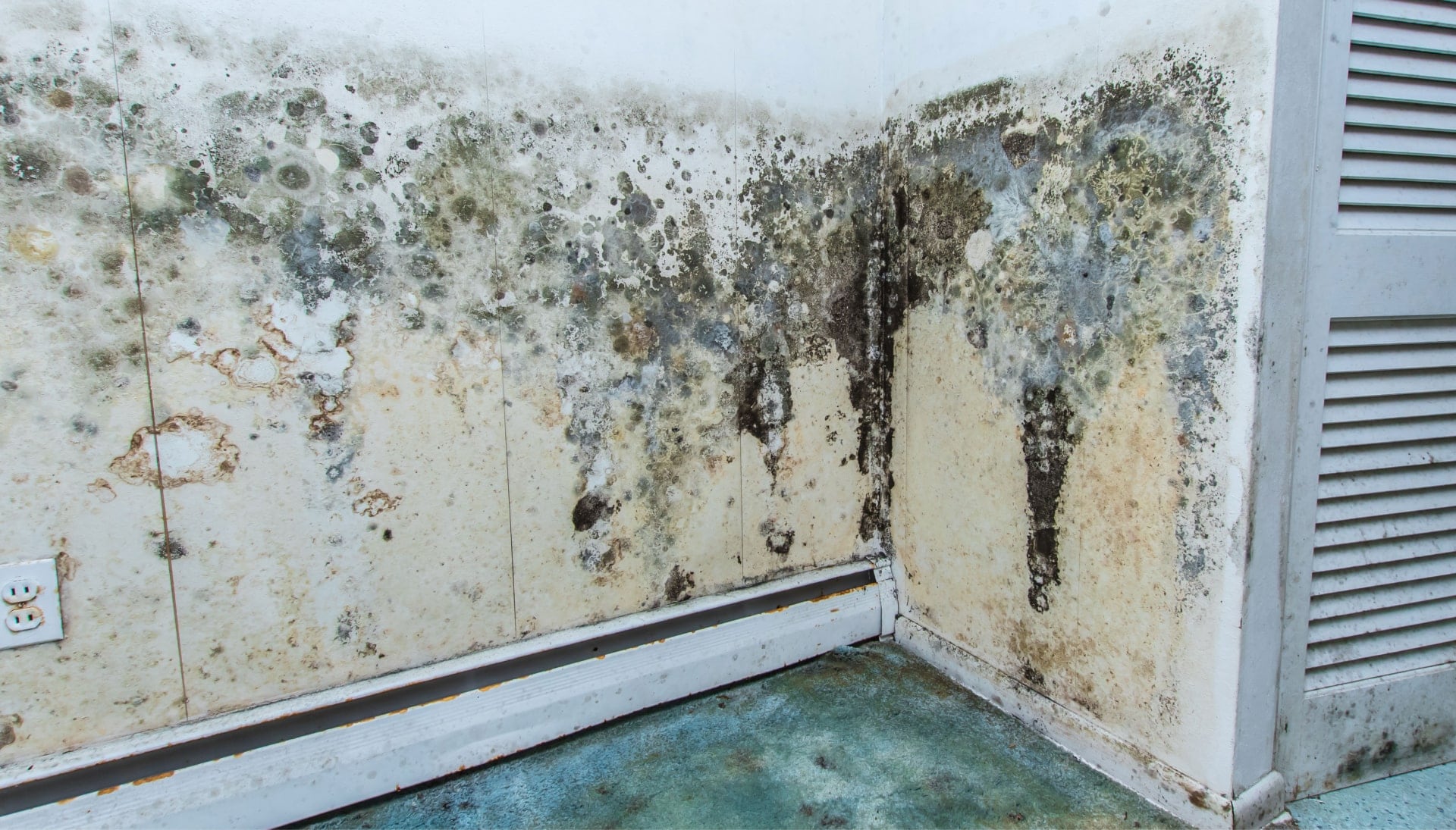 A mold remediation team using specialized techniques to remove mold damage and control odors in a Topsham property, with a focus on safety and efficiency